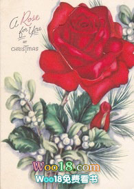 刺玫瑰的城堡免費閲讀封面